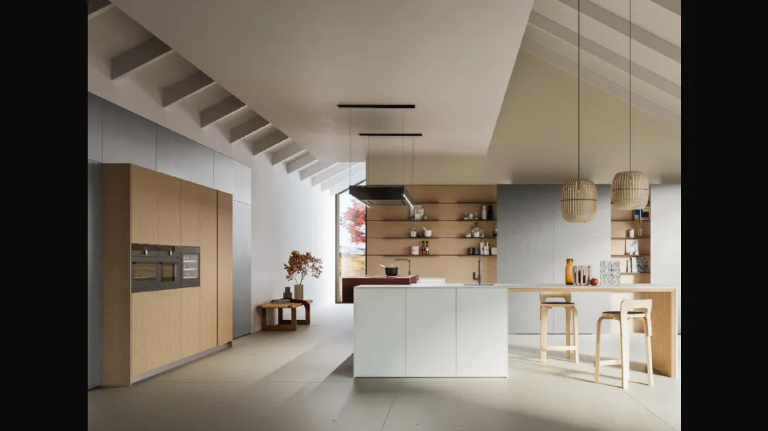 Modern kitchen with island D12 and D23 by Doimo Cucine.